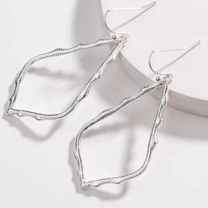 Silver Feligree Exotic Earrings